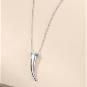 Stella & Dot Delicate Horn Necklace